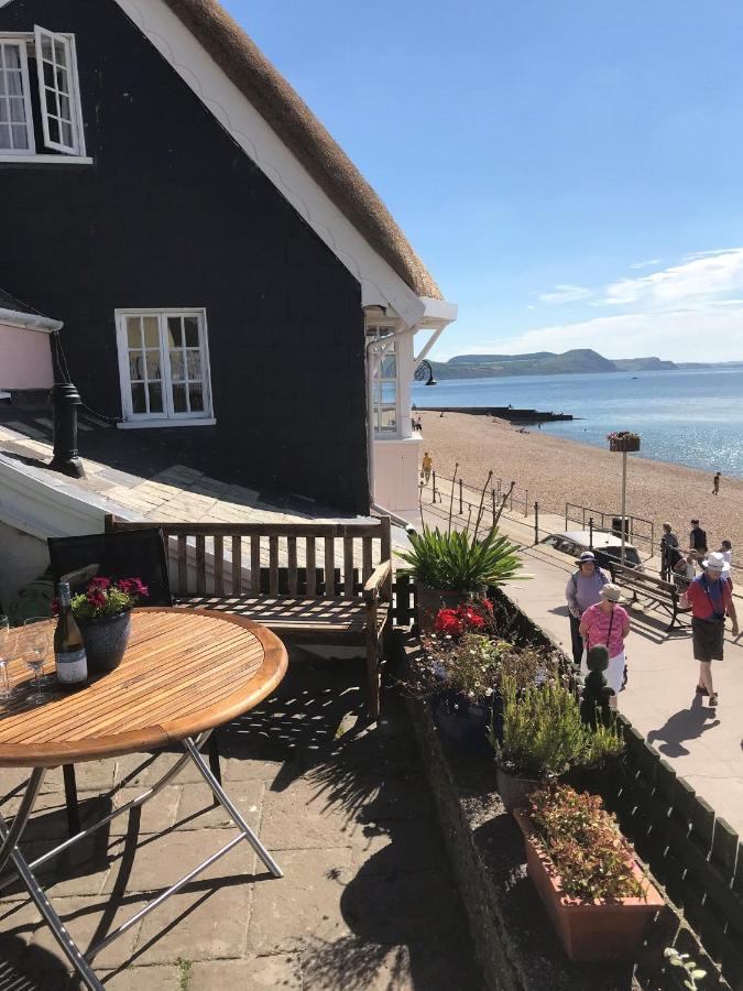 Dolphin Holiday home